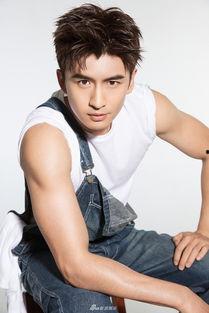 张云龙娱乐爆料视频,娱乐圈幕后真相大曝光